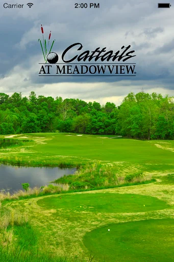 Cattails at MeadowView