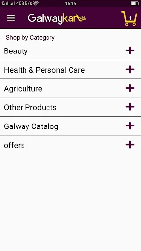Galwaykart screenshot 4