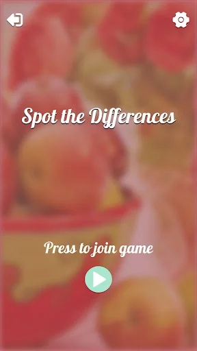 Spot The Differences 500 Photo