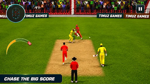 Perfect Cricket - Cricket Game
