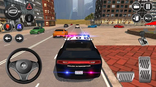 American Fast Police Driving