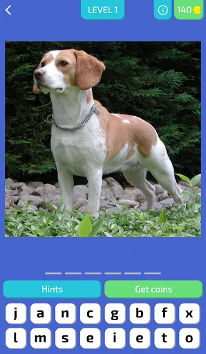 Dog Quiz - Guess the Breed!