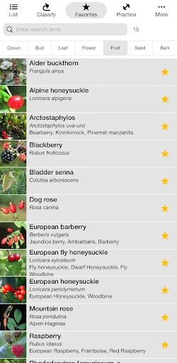 iForest - Trees and shrubs