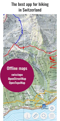 Swiss Pro Map screenshot 1