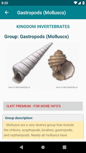 Handbook of Fossils