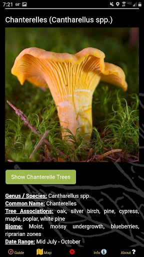 New Jersey Mushroom Forager