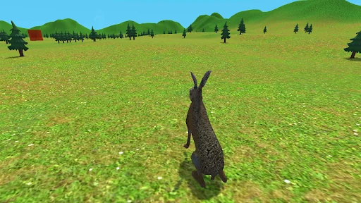 Rabbit animal life simulator