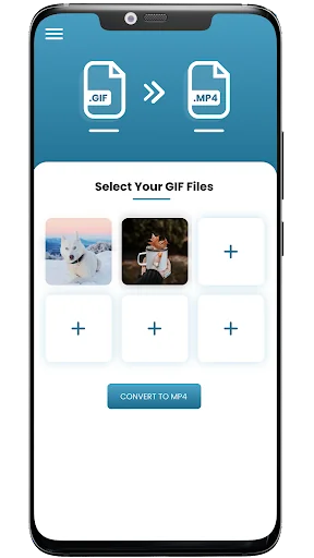 GIF to Video screenshot 2