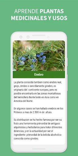Medicinal Plants and Remedies