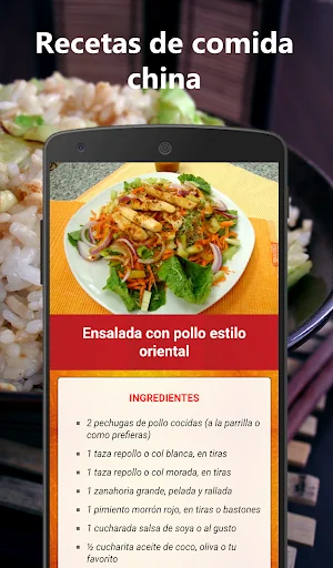 Chinese Food Recipes
