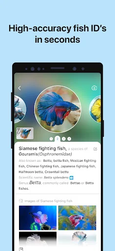 Picture Fish - Fish Identifier screenshot 3