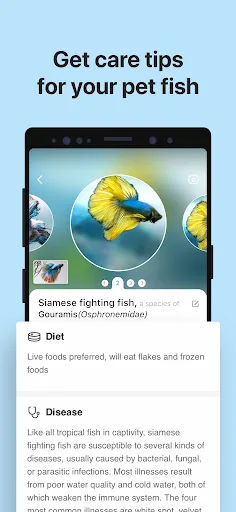 Picture Fish - Fish Identifier screenshot 4
