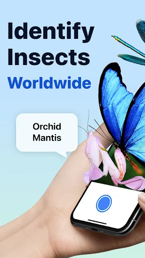 Picture Insect: Bug Identifier