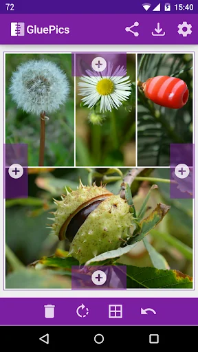 GluePics screenshot 1