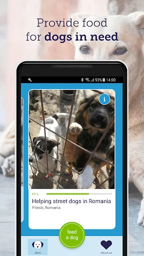 feed a dog: animal welfare