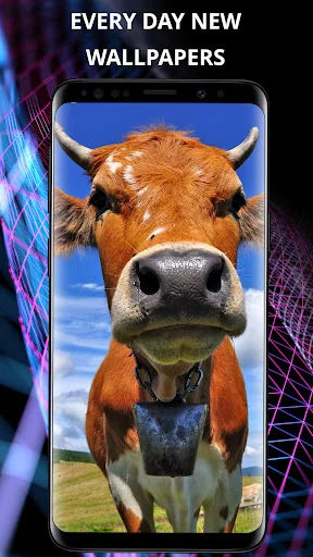 Animals wallpapers for phone