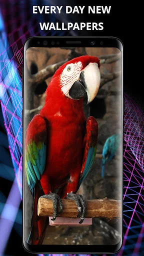 Birds wallpapers for phone