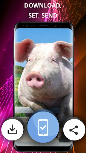 Funny wallpapers for phone screenshot 3