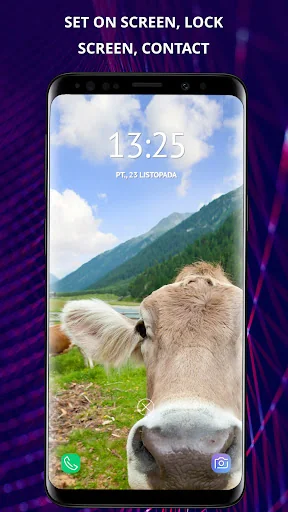 Funny wallpapers for phone screenshot 4