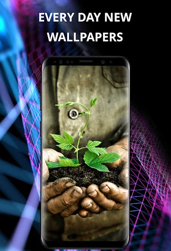 Plants wallpapers for phone