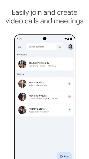 Google Meet