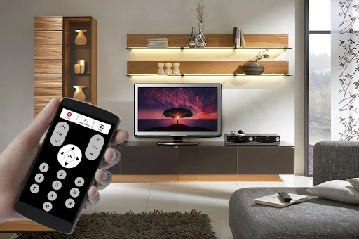 Universal TV Remote Control