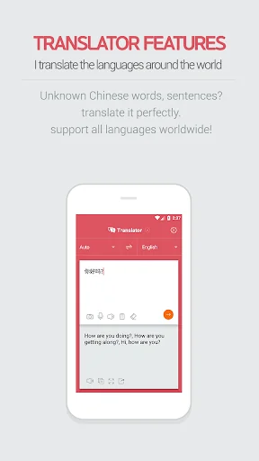 Any Chinese Translator
