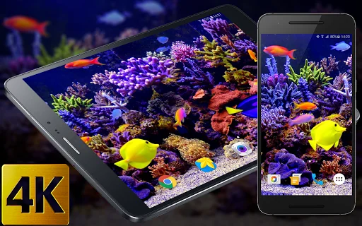 Aquarium Video Live Wallpaper