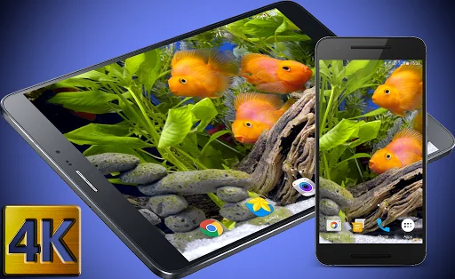 Aquarium 4K Live Wallpaper