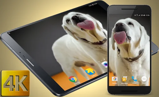 Dog Licks Screen 4K LWP
