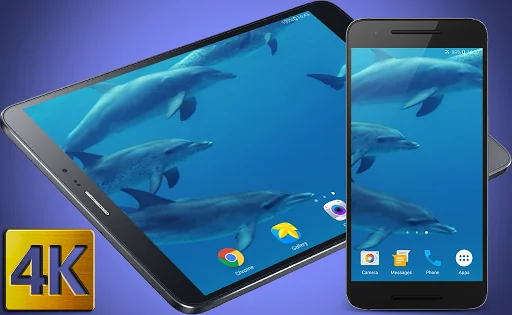 Dolphins Live Wallpaper