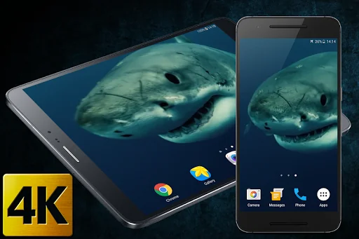 Shark 4K Live Wallpaper