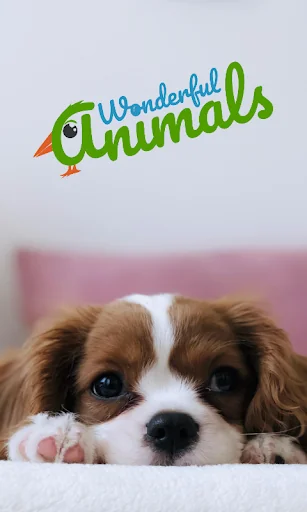 Wonderful Animals