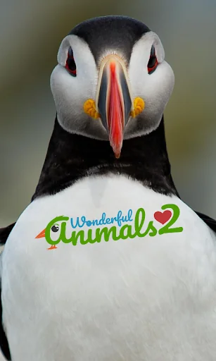 Wonderful Animals 2