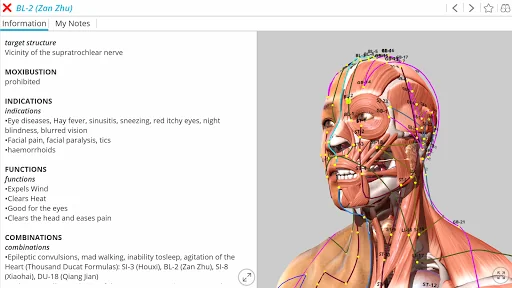 Visual Acupuncture 3D