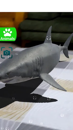 AR 3D Animals