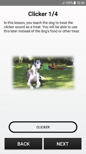Dog Whistle screenshot 4
