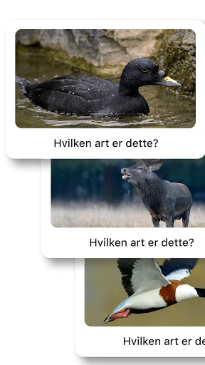 Jægerappen - Alle arterne i ja