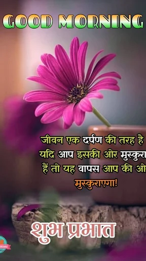 Hindi GoodMorning Quotes