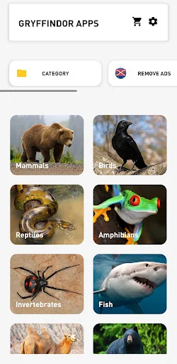 Animal Quiz: Guess the Animal