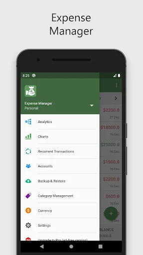 Expense Money Manager Control