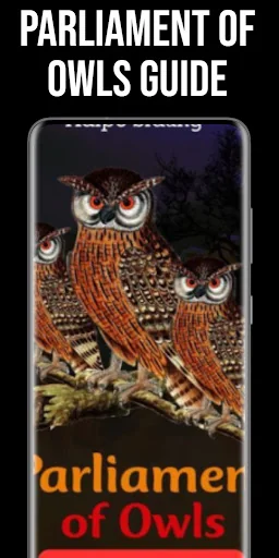 A Parliament Of Owls Guide