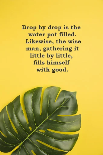 Buddha Quotes & Mindfulness