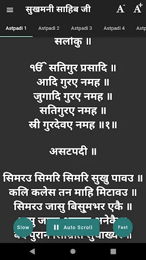 Punj Bani - Nitnem in Hindi screenshot 3