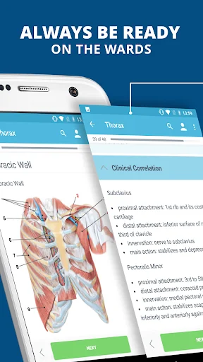 USMLE Clinical Anatomy