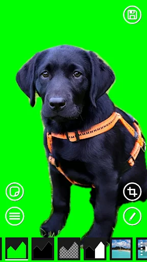 AI Green Screen screenshot 3