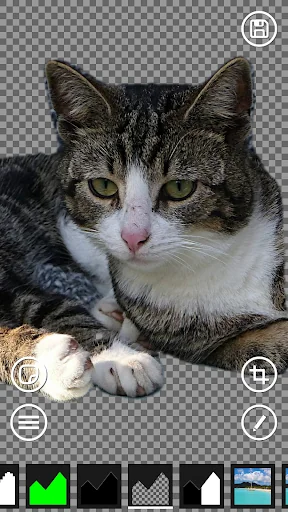 AI Green Screen screenshot 4