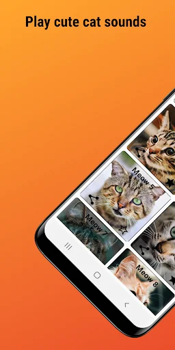 Funny Cats Cat sounds