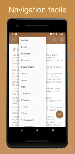 La Bible Commentaires screenshot 3
