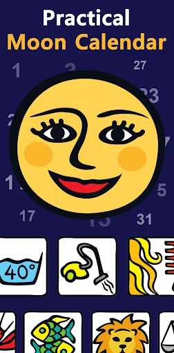 Lunar Signs: Daily Moon Guide